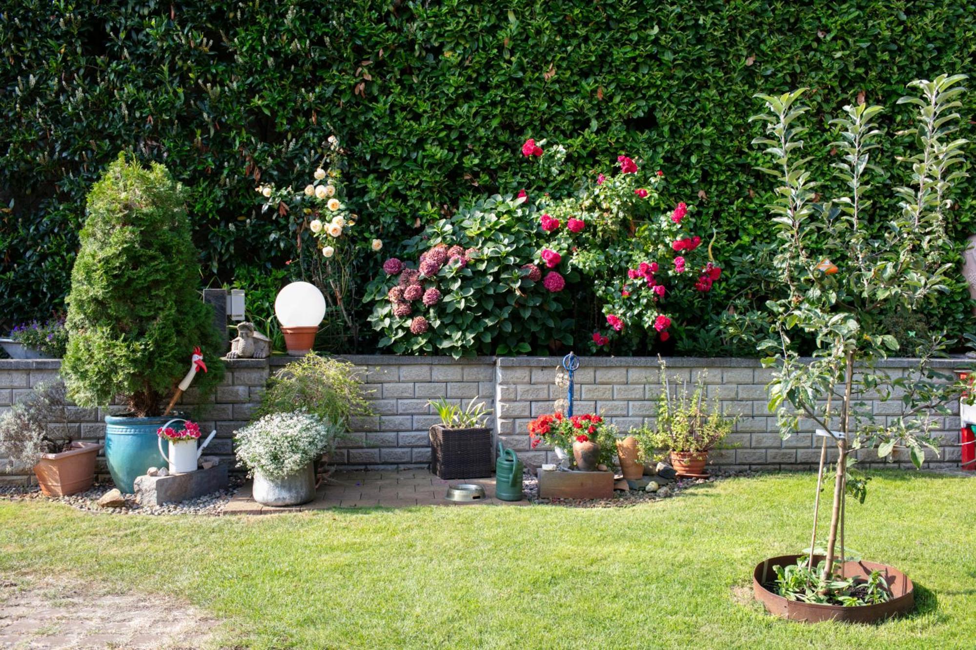 Ferienhaus Jasmin 네우루핀 외부 사진