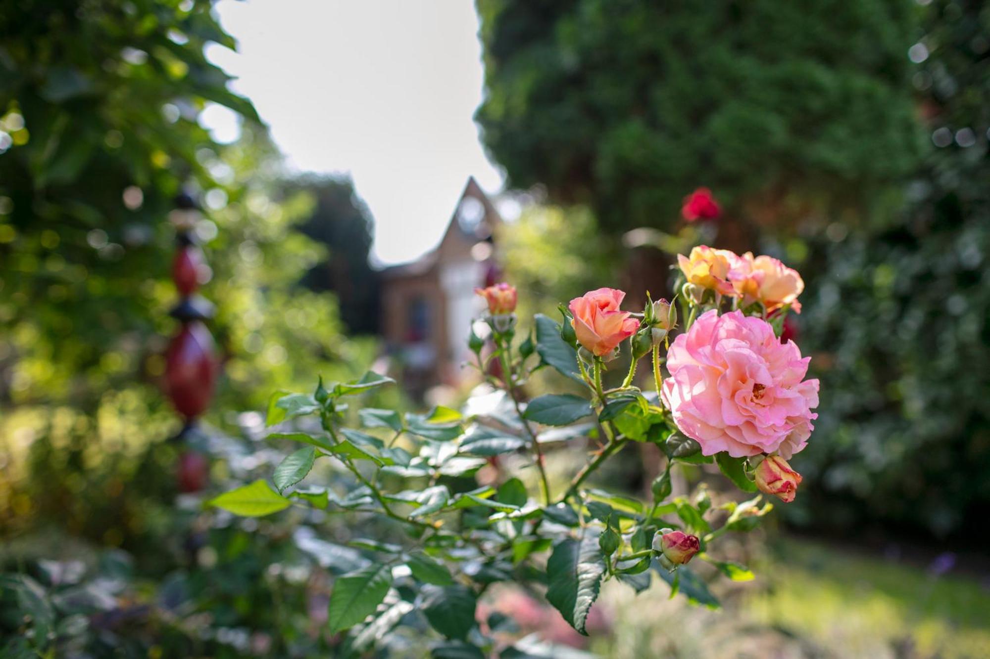 Ferienhaus Jasmin 네우루핀 외부 사진